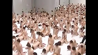 1197 orgy porn videos
